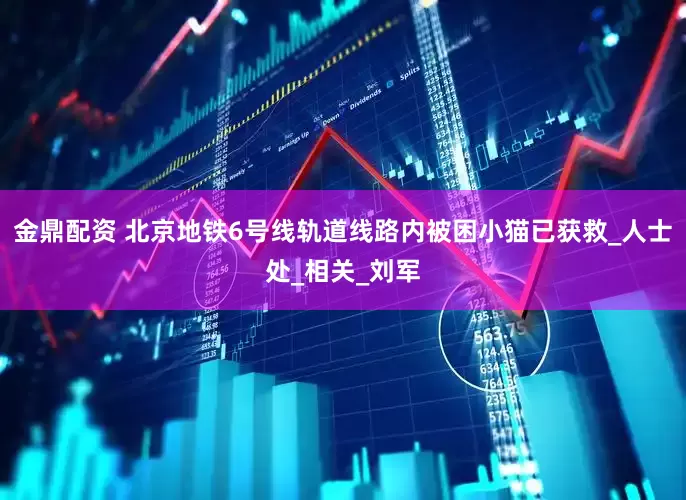 金鼎配资 北京地铁6号线轨道线路内被困小猫已获救_人士处_相关_刘军