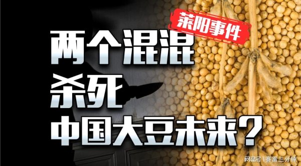 双融配资 两个混混让中国大豆永远无法自给自足？莱阳事件到底咋回事？